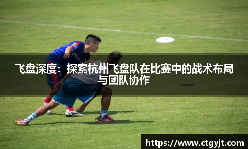 飞盘深度：探索杭州飞盘队在比赛中的战术布局与团队协作